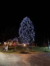 The Old Stone House Inn’s 100-foot tree is sparkling with 23,000 lights. Photos provided.