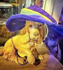 Everyone enjoyed the eighth annual Mardi Gras for a Cause including Best Dressed in the puppy competition.