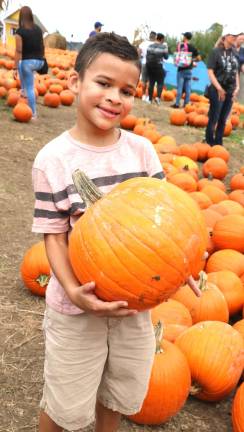 Apple and pumpkin season in full swing Jonah Gard, 6, demonstrates his ability to handle a large and heavy pumpkin.