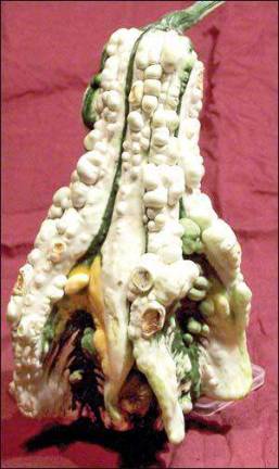 Super Freak' gourds arrive in time for Halloween Super Freak' gourds arrive in time for Halloween