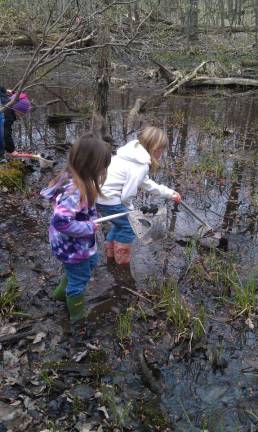 Photo provided by the Orange County Land Trust Children explore a woodland pool for amphibians, such as newts, salamanders and frogs.