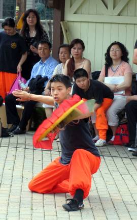 Cross cultural anniversary Martial arts demonstration.