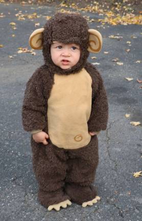 Annual Lions Club and Village of Warwick Halloween Parade draws 1,200 witches, goblins and other assorted characters Hudson Mojena, 1, isa cute little monkey.