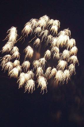 Orange County to host Freedom Fest Fireworks show on July 21 Photo provided by Orange County Fireworks at last year’s Freedom Fest at Thomas Bull Memorial Park in Montgomery. This year’s event is scheduled for Saturday, July 21.