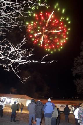 Thousands frolicked, some swam, at wintery carnival