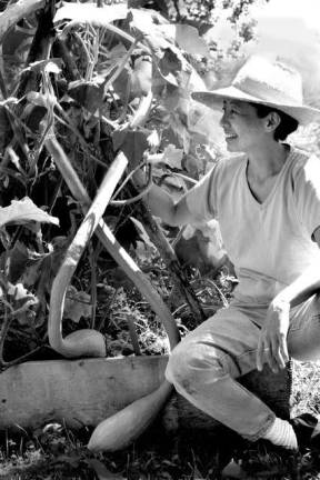 Gardening in a changing climate Provided photo Gar Wang with a tromboncino squash in her organic garden. She will present different techniques for managing the adverse effects of climate change at Albert Wisner Public Library on Saturday, March 24.