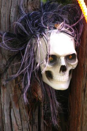 More scary news from the Village: Sesquicentennial Spooktacular on Oct. 31 Sesquicentennial Spooktacular: The Village of Warwick Recreation Department and the Warwick Lions Club will host this year’s Halloween Parade on Tuesday, Oct. 31.