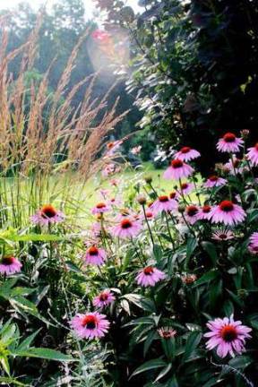 Warwick Valley Gardeners preparing for annual tour on July 14 Warwick Valley Gardeners preparing for annual tour on July 14
