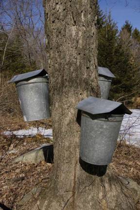 Celebrate Winterfest A maple sugaring demonstration will be just one of the activities at Warwick Valley Community Center on Saturday, Feb. 10, during its Winterfest celebration.