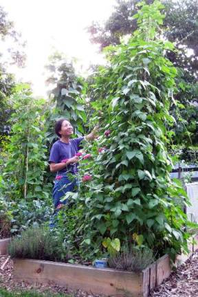 Spring planting with organic gardener Gar Wang Spring planting with organic gardener Gar Wang