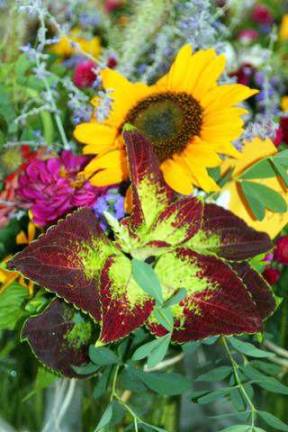 Gardeners bring summer to Mt. Alverno Gardeners bring summer to Mt. Alverno