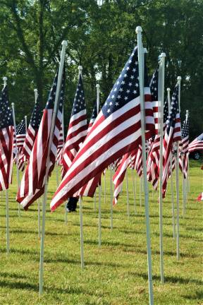 Flags in the Flags for Heroes display on Route 94.