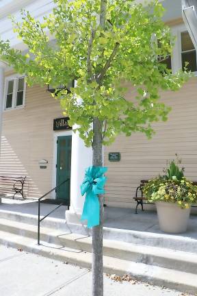 Those teal (blue-green) colored ribbons that are now along Main Street in downtown Warwick are there for “Turn the Towns Teal,” a national awareness campaign to promote awareness of ovarian cancer and its silent symptoms.