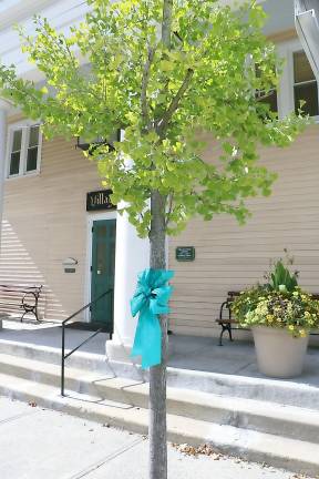 Turn the Village of Warwick Teal Those teal (blue-green) colored ribbons that are now along Main Street in downtown Warwick are there for “Turn the Towns Teal,” a national awareness campaign to promote awareness of ovarian cancer and its silent symptoms.