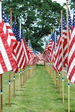 Celebrate Independence Day with a care package for a soldier Celebrate Independence Day with a care package for a soldier