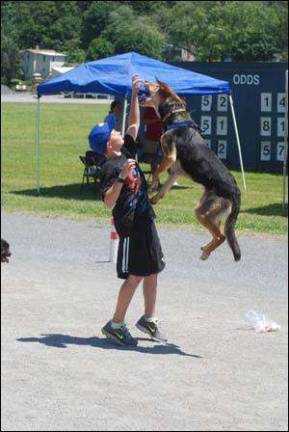 For a day, horses let their track go to the dogs For a day, horses let their track go to the dogs