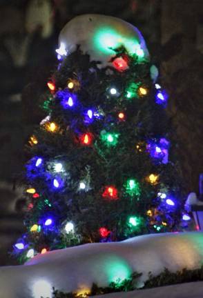 May the best tree win Photo illustration The Florida Chamber of Commerce is asking residents vote for the best decorated out of the 18 potted Christmas trees throughout the village. Voting ends Dec. 22.