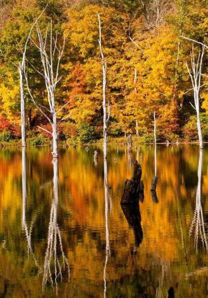Craig Wettstein to hold first photography exhibit at Cafe a la Mode Photo by Craig Wettstein