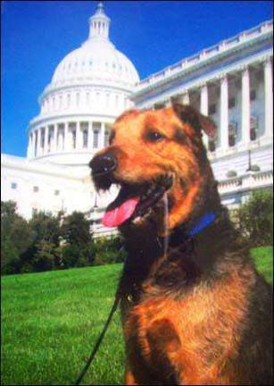 Sir Bayard Orange of Warwick goes to Washington Sir Bayard Orange of Warwick goes to Washington