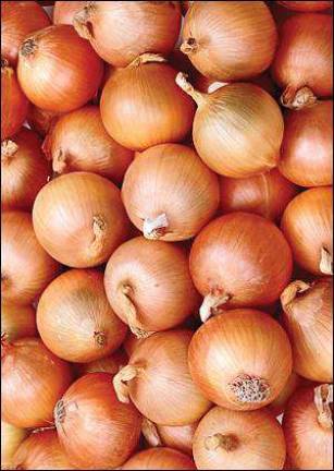 Crying out loud: Raw onion-eating set for Aug. 18 Crying out loud: Raw onion-eating set for Aug. 18