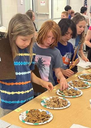 Shared learning via the STEM Museum Shared learning via the STEM Museum