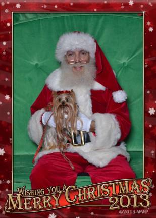 Vote for the best holiday photo Submitted by: Claudia Adams of Lords Valley, Pa. "Every year, my little girl Twinkie loves to see Santa. She especially loves to eat his beard!"