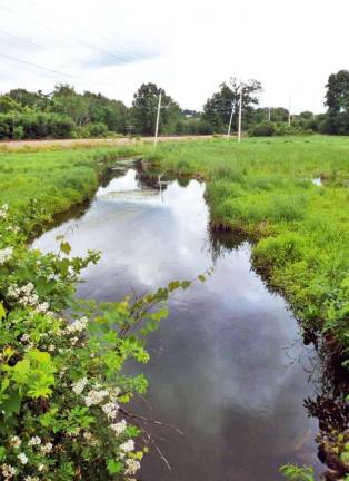 Town of Warwick wins $10,000 state grant for Wawayanda Creek awareness project This photo of the Wawayanda Creek in the Town of Warwick was taken by Barbara Restaino.