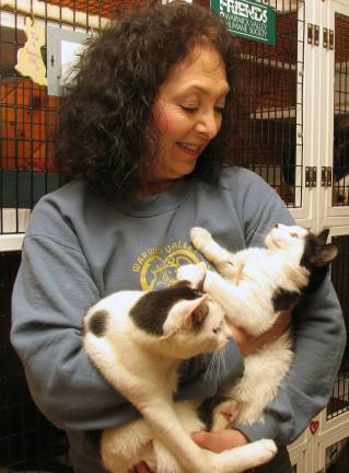 Warwick Valley Humane Society slashes adoption fees for cats Suzyn Barron, president of the Warwick Valley Humane Society, holding Martha and Melanie, both of whom would love to live in someone's home.