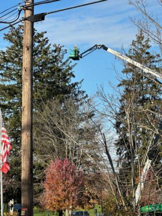 It took 6,500 feet of lights to cover the the tree outside Old Stone House.