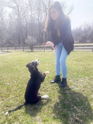 Our lives have changed Sara and her dog Jazz practice in their Warwick backyard.