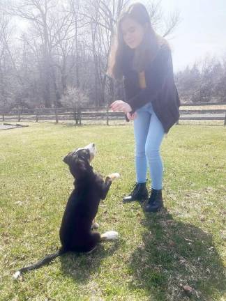 Sara and her dog Jazz practice in their Warwick backyard.