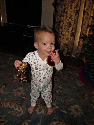 Vote for the best holiday photo Submitted by: Heather LaBruna of Goshen, N.Y. "Our 4-year-old daughter, Nora, loves to un-decorate the Christmas tree."
