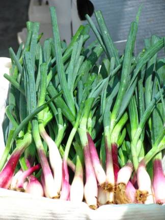 Warwick Metzger’s bill defining ‘local’ for NY Ag products will support local purchasing Warwick Metzger’s bill defining ‘local’ for NY Ag products will support local purchasing