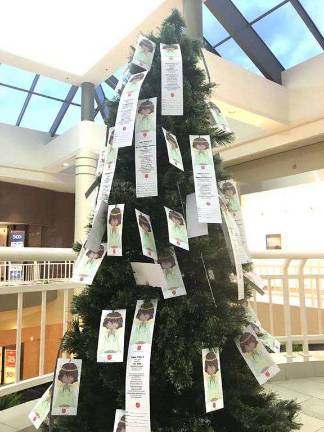 Galleria at Crystal Run to Hold First Annual Toy Drive Celebration for Salvation Army Galleria at Crystal Run to Hold First Annual Toy Drive Celebration for Salvation Army