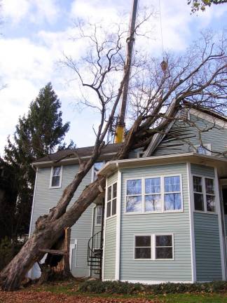 In Sandy’s wake Provided photo This house on South Street that required a 120-ton crane from New Jersey to lift an estimated 25,000 pound tree that had fallen on it.