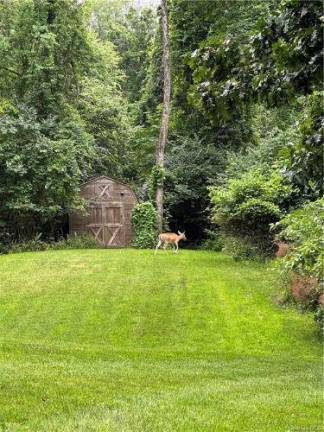 Move-in ready Colonial impresses