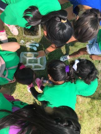 Dulce Esperanza campers during the “Who lives in the Pond?” program at the Hudson Highlands Nature Museum’s Outdoor Discovery Center in Cornwall.