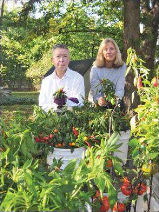 Gleaners prepare for Warwick's Harvest to Holly' Gleaners prepare for Warwick's Harvest to Holly'