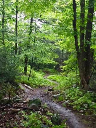 New multi-use trail loop to open in Sterling Forest State Park Provided photo The New York-New Jersey Trail Conference and New York State Parks will open of a seven-mile multi-use single-track trail loop at Sterling Forest State Park on Sunday, Sept. 30