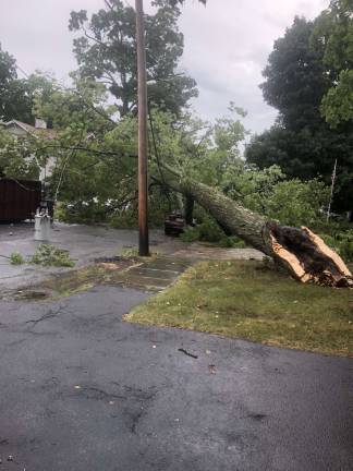 UPDATE: Power back on in Warwick Photo courtesy of Larry Miri Tree down on Third Street in the Village of Warwick
