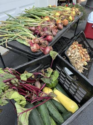 Backyard gardeners open their gates for Kitchen Garden Tour Dave and Sheila Kobricks’ impressive harvest from their Stockholm, NJ garden.