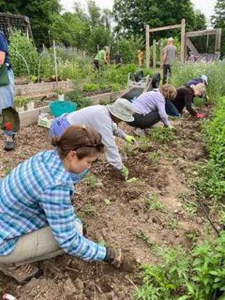 Planting and weeding are just a few of the steps required to keep this effort going each season.