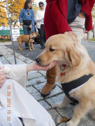 Blessed are the animals This photograph shows one of the dogs at last year's Blessing of the Animals service held at the Sugar Loaf United Methodist Church.