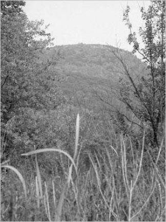Sugar Loaf wants to set area's cultural tone with master plan Sugar Loaf wants to set area's cultural tone with master plan