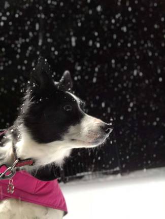 Katie in snow Katie in snow