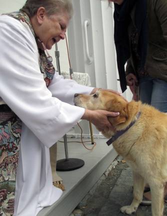 Blessings for dogs, cats and a box turtle Blessings for dogs, cats and a box turtle