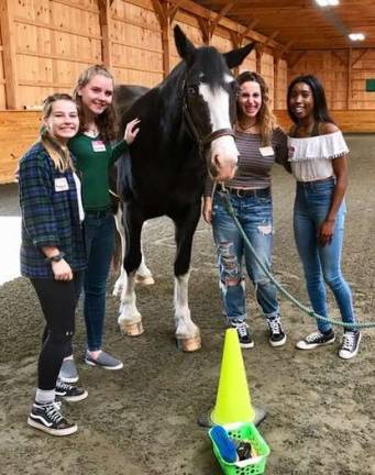 What we can learn from horses Students from left: Maggie Lee, Shannon Hegarty, Gabby Martino and Nicole Agbo