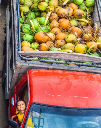 Award winning professional photographer, artist Star Nigro featured at SUNY Orange gallery This is a photograph by Star Nigro entitled “Coconut Portrait,” taken in Muisne, Ecuador.