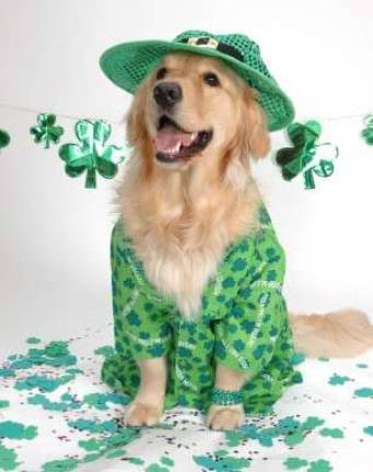 Show us your green! Show us your green!