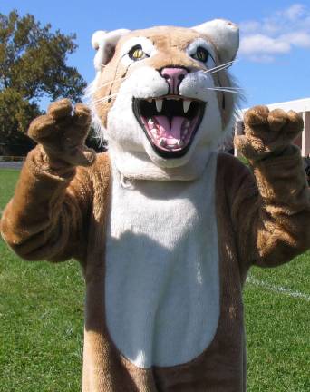 Homecoming Day events precede a Wildcat victory over the Kingston Tigers The Wildcat mascot was also there to greet the marchers when they arrived.